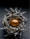 Golden egg nest
